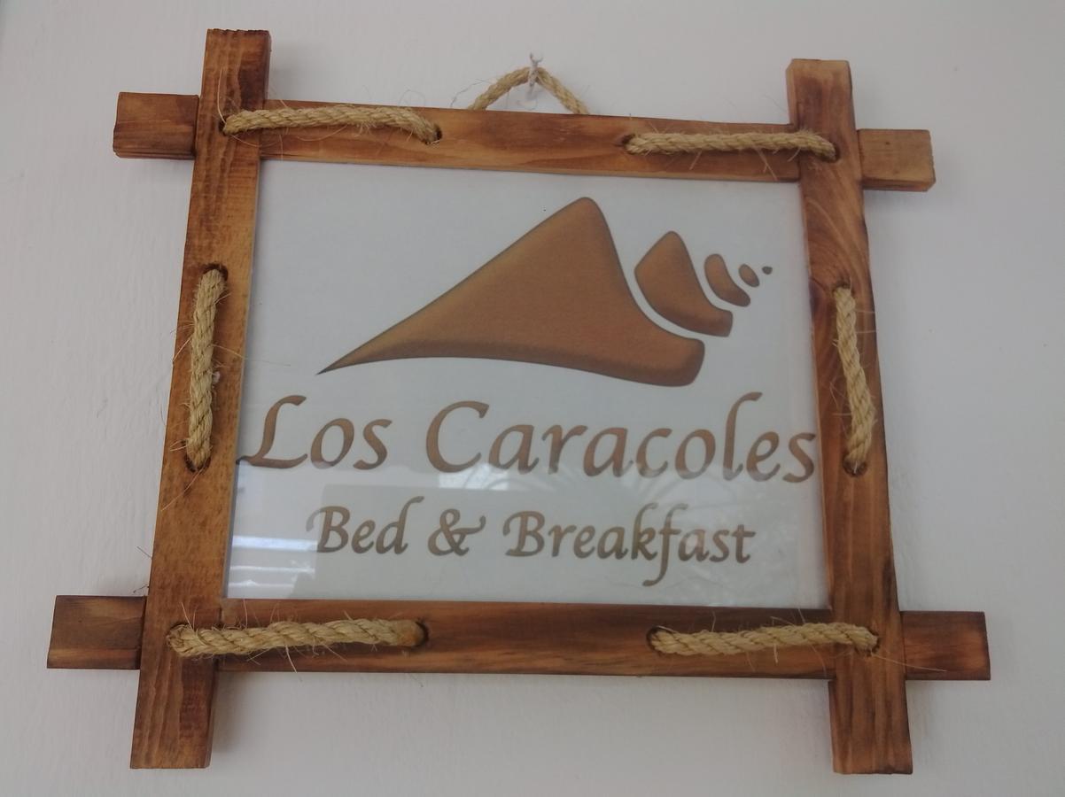 Los Caracoles Bed & Breakfast Канкун Экстерьер фото